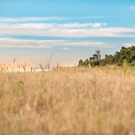 Magnolia Silvi Апартаменты *